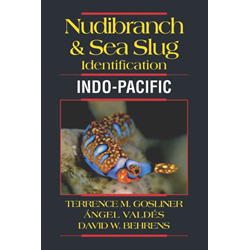 Reef Nudibranch & Sea Slug Id - Indo Pacific